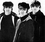 BEATLESFORLIFE2.jpg image by bradbowlllama
